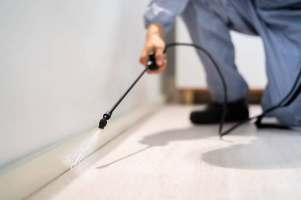 Licensed Mosquito Control service in Verandah, FL - Show Me Pest Control