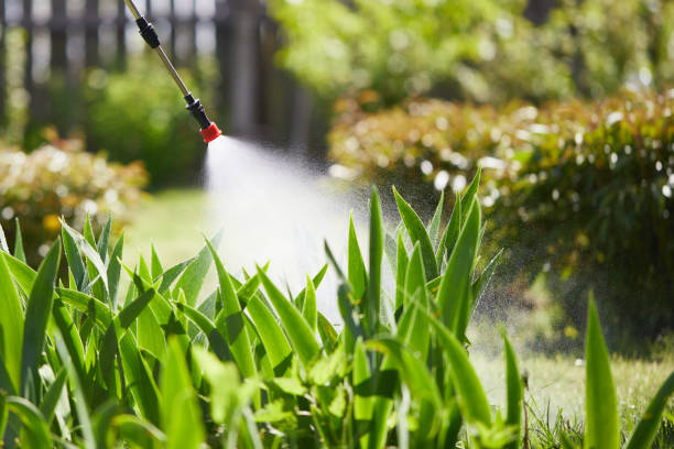 24/7 Emergency Mosquito Control experts in Verandah, FL
